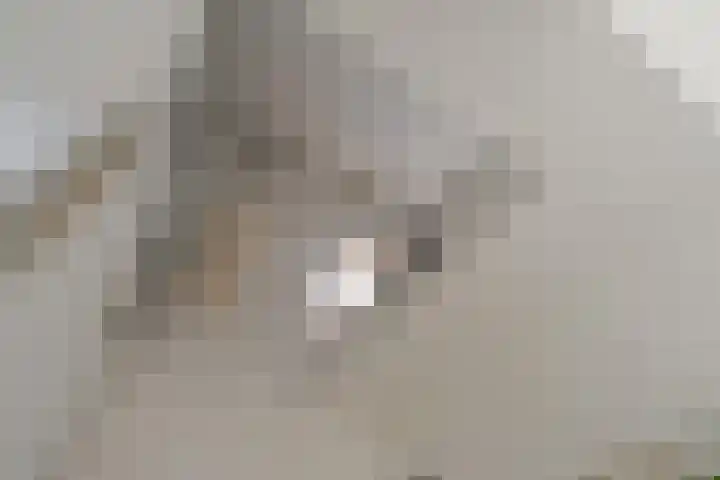 Eigenhaardstraat 52 Zwolle thumbnail 35