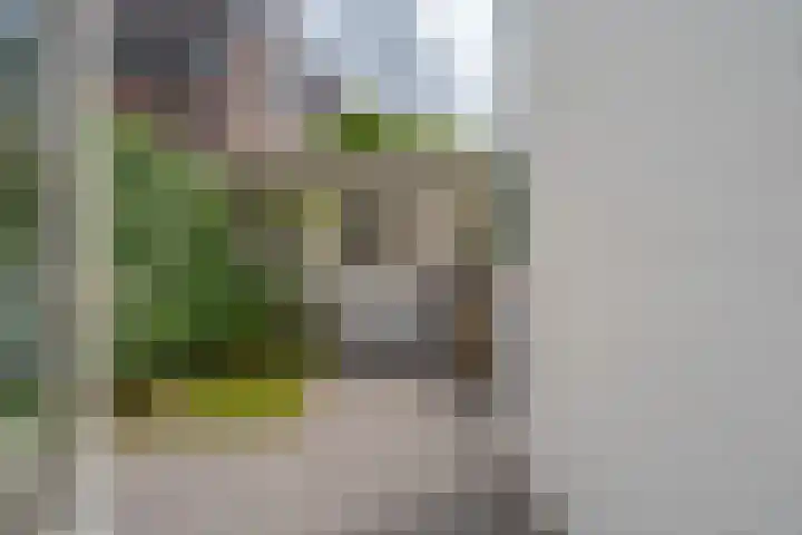 Eigenhaardstraat 52 Zwolle thumbnail 37