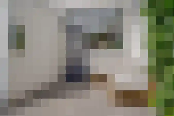 Eigenhaardstraat 52 Zwolle thumbnail 39