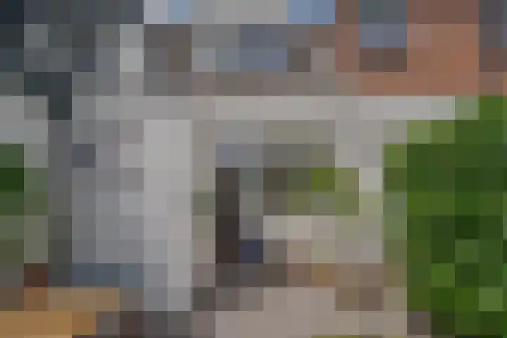 Eigenhaardstraat 52 Zwolle thumbnail 4