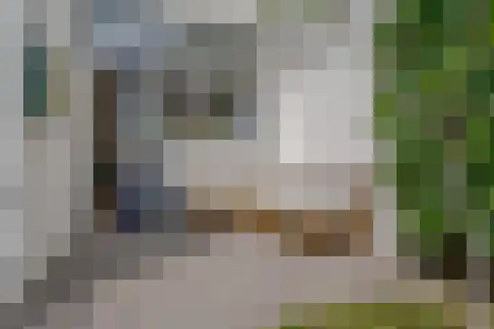 Eigenhaardstraat 52 Zwolle thumbnail 40