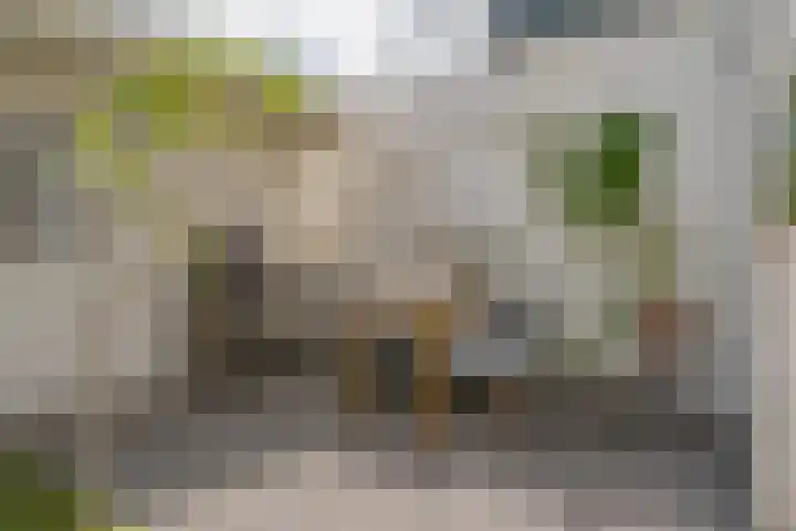 Eigenhaardstraat 52 Zwolle thumbnail 43