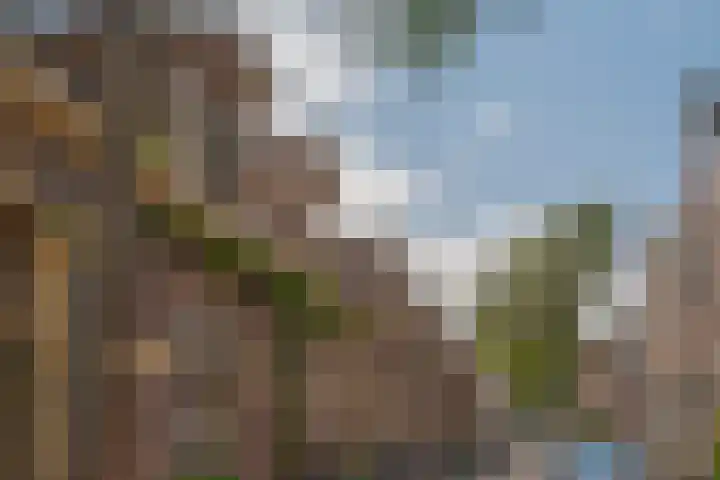 Eigenhaardstraat 52 Zwolle thumbnail 6