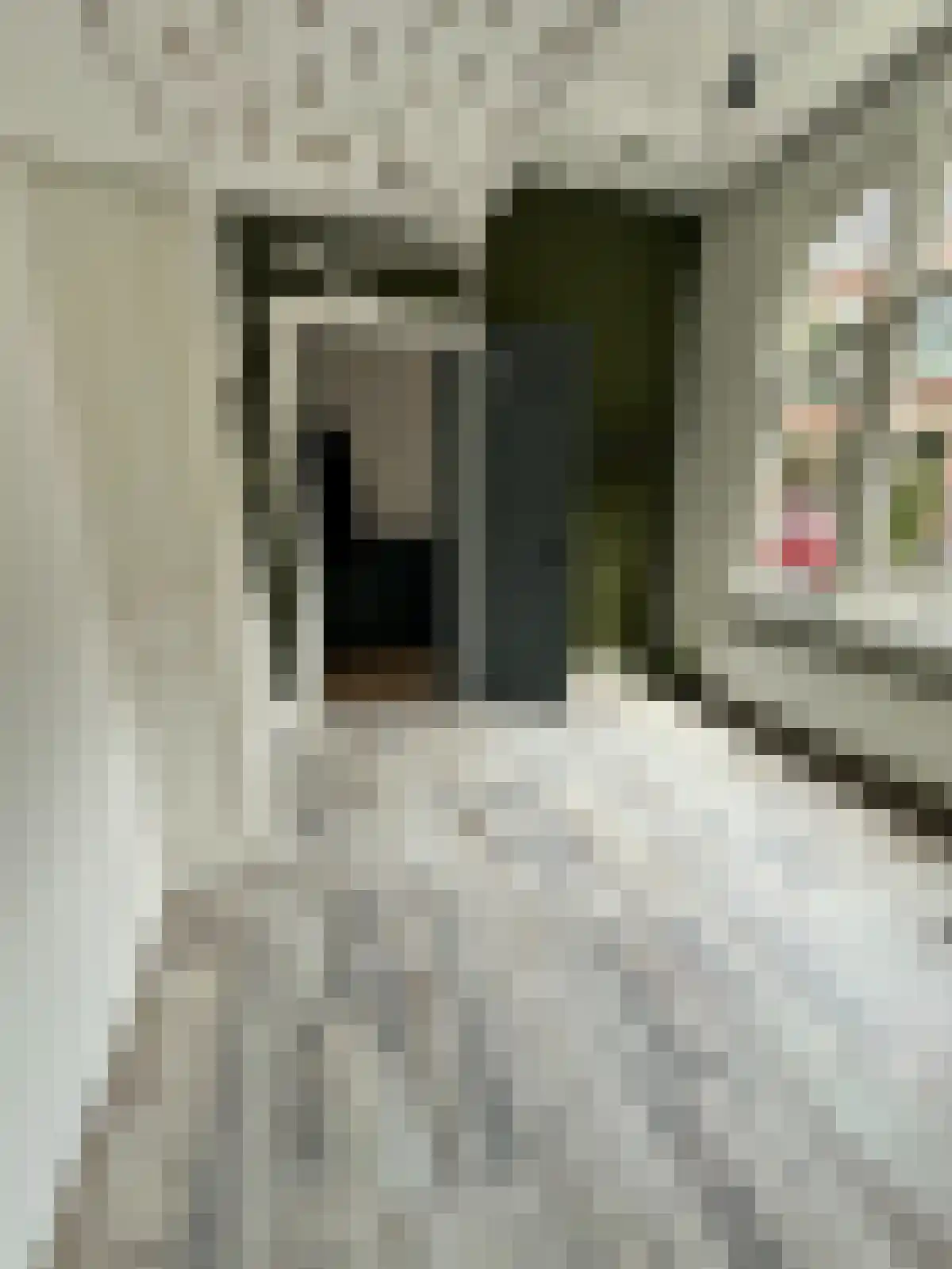 Eigenhaardstraat 9 1 Zwolle thumbnail 5
