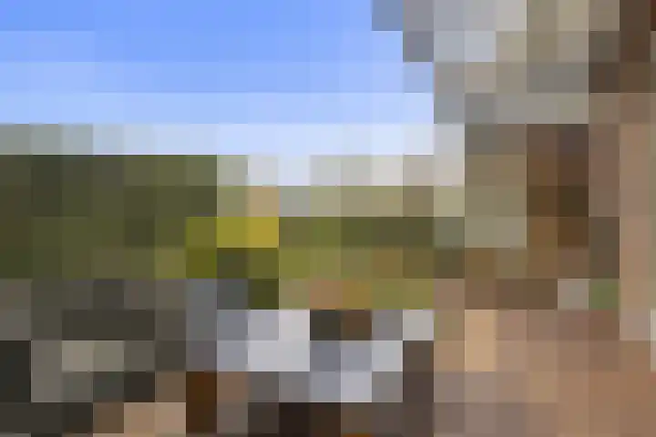 Eihof 6 Castricum thumbnail 17