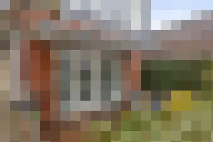 Eihof 6 Castricum thumbnail 29