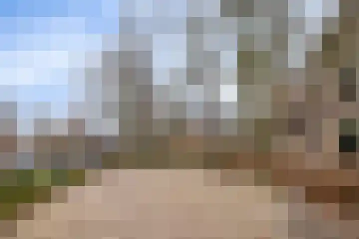 Eihof 6 Castricum thumbnail 35