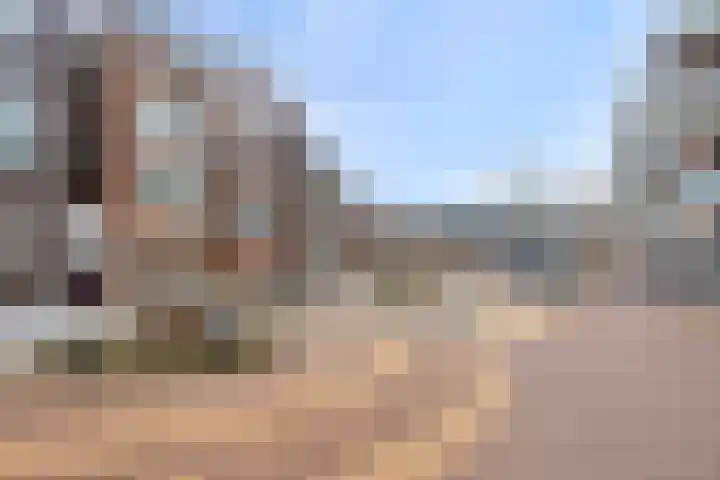 Eihof 6 Castricum thumbnail 37