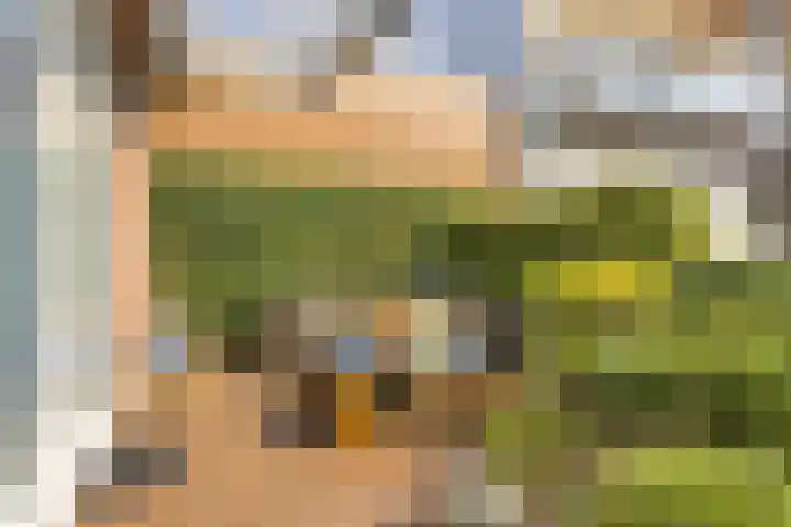 Eihof 6 Castricum thumbnail 4