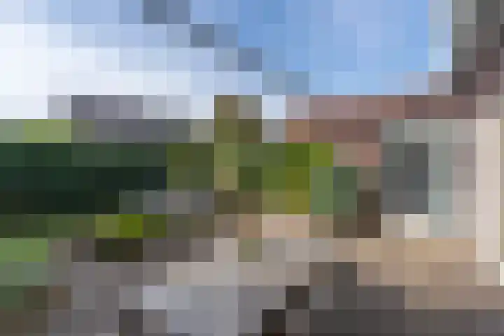 Eijckenhof 2 Oostrum thumbnail 10