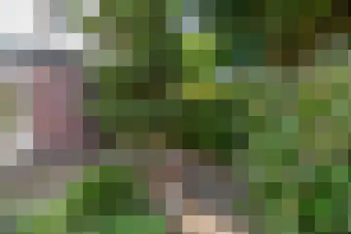 Eijckenhof 2 Oostrum thumbnail 12