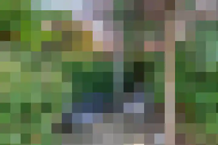 Eijckenhof 2 Oostrum thumbnail 13