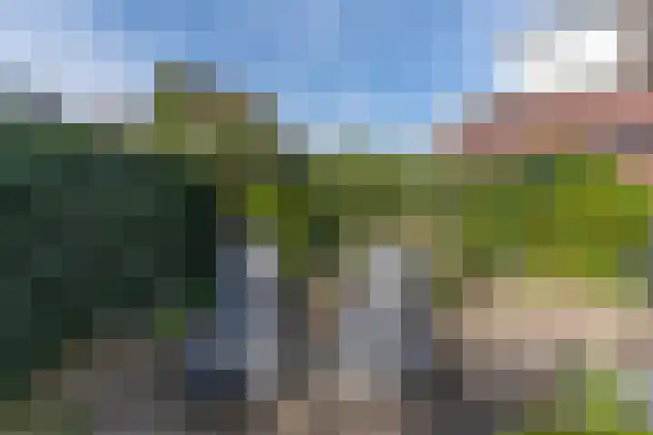Eijckenhof 2 Oostrum thumbnail 17
