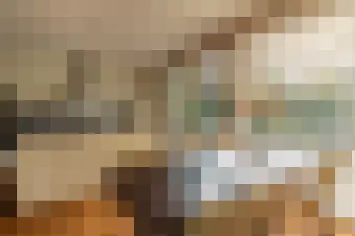 Eijckenhof 2 Oostrum thumbnail 24