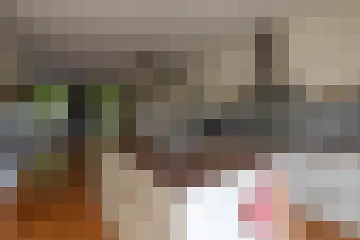 Eijckenhof 2 Oostrum thumbnail 26