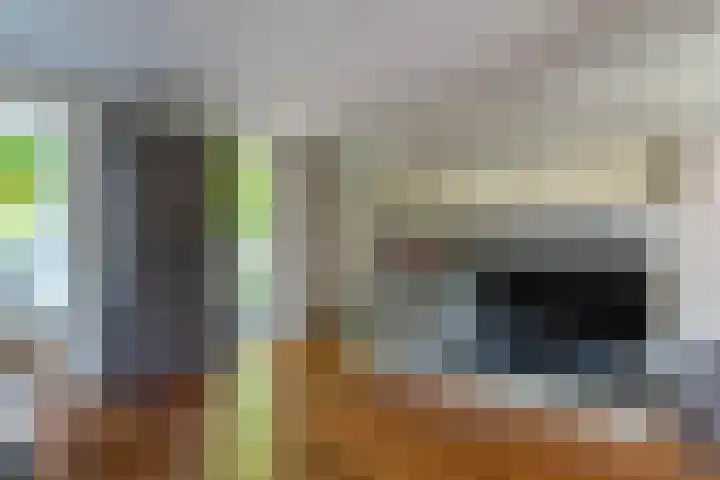 Eijckenhof 2 Oostrum thumbnail 33