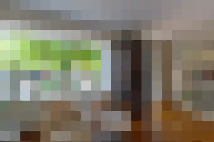 Eijckenhof 2 Oostrum thumbnail 34