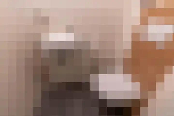 Eijckenhof 2 Oostrum thumbnail 37