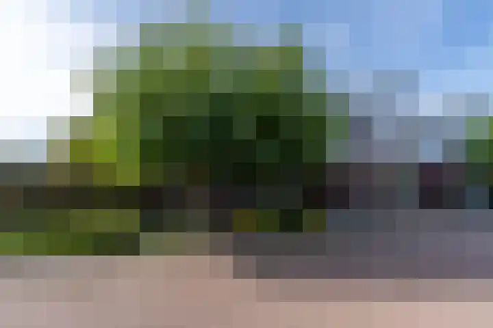 Eijckenhof 2 Oostrum thumbnail 4