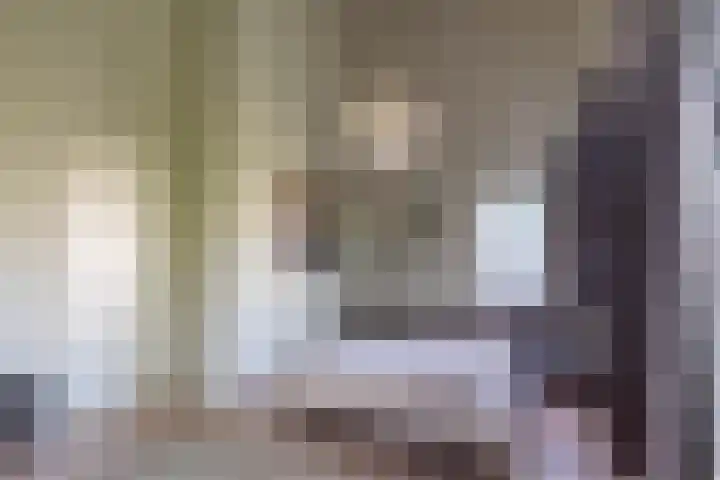 Eijckenhof 2 Oostrum thumbnail 47