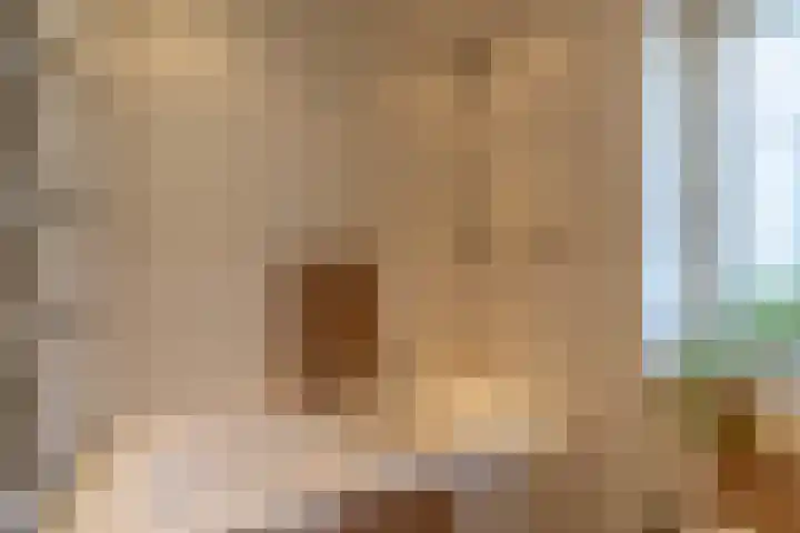 Eijckenhof 2 Oostrum thumbnail 50