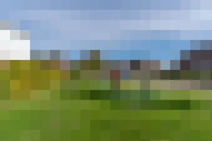 Eijckenhof 2 Oostrum thumbnail 8