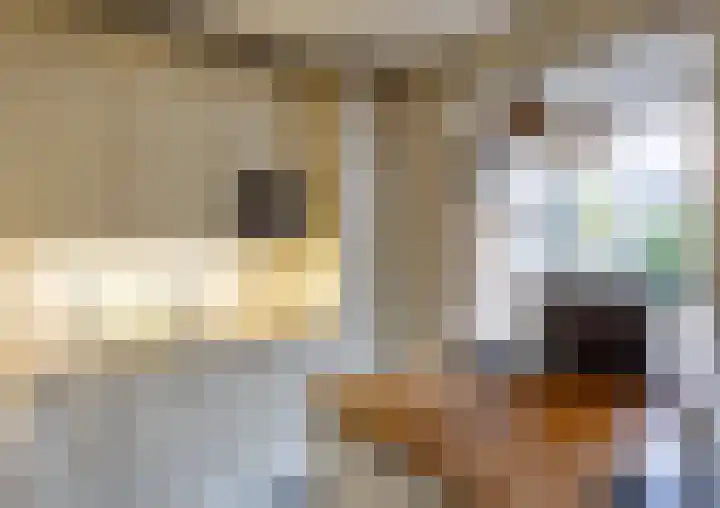 Eijckenhof 9 Oostrum thumbnail 16
