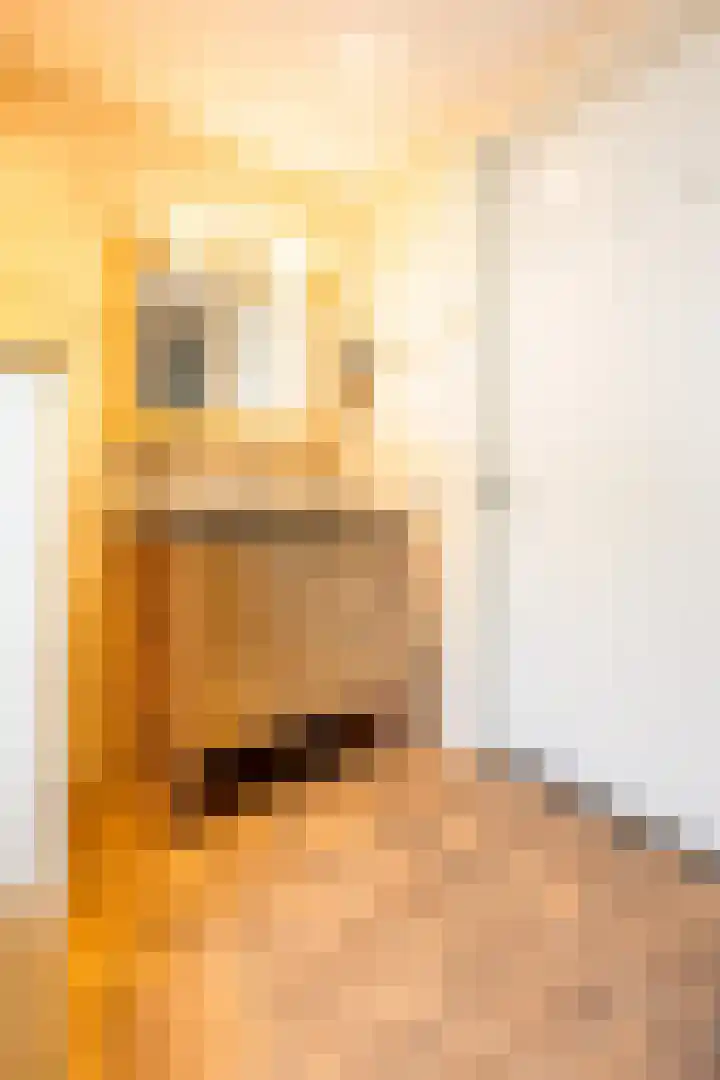 Eijckenhof 9 Oostrum thumbnail 28