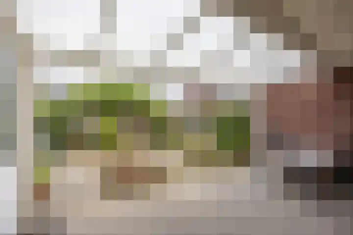 Eijckenhof 9 Oostrum thumbnail 34