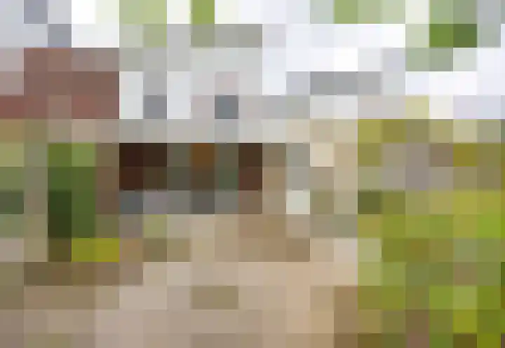 Eijckenhof 9 Oostrum thumbnail 36