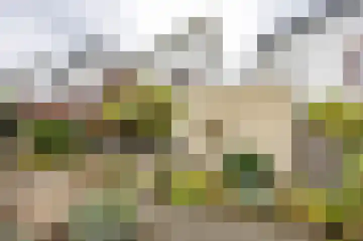 Eijckenhof 9 Oostrum thumbnail 37