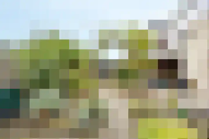 Eijckenhof 9 Oostrum thumbnail 38