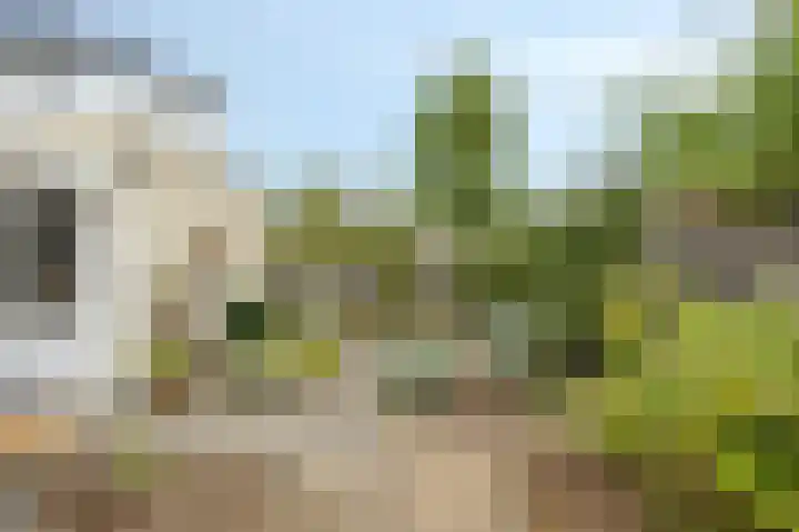 Eijckenhof 9 Oostrum thumbnail 39