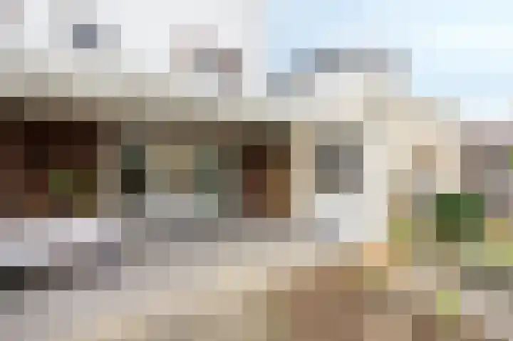 Eijckenhof 9 Oostrum thumbnail 40