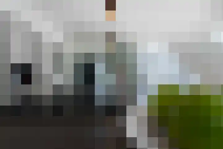 Eijckerveld 23 Ulestraten thumbnail 16