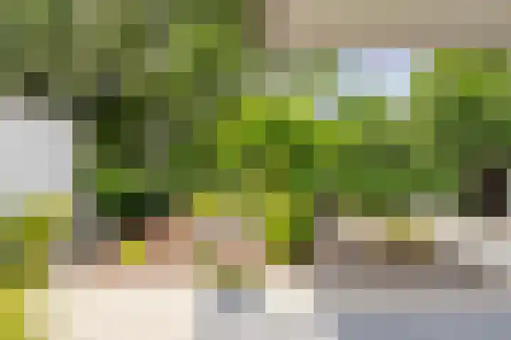 Eijckerveld 23 Ulestraten thumbnail 39