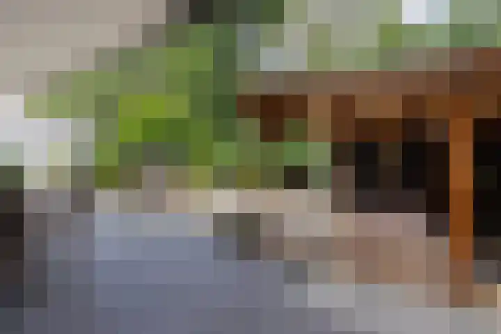 Eijckerveld 23 Ulestraten thumbnail 41
