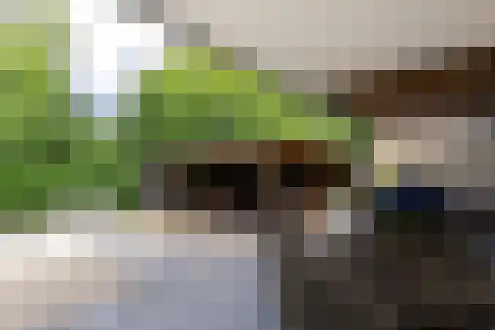 Eijckerveld 23 Ulestraten thumbnail 42