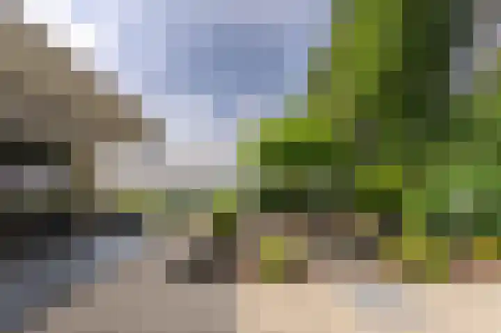 Eijckerveld 23 Ulestraten thumbnail 44