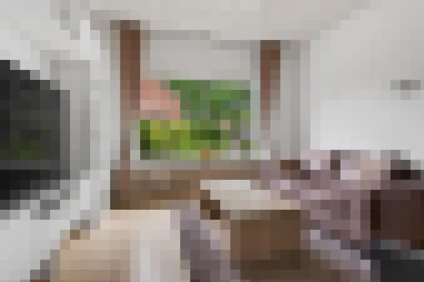 Eijckstraat 4 Weert thumbnail 12