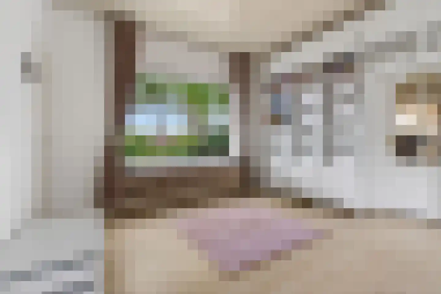 Eijckstraat 4 Weert thumbnail 16