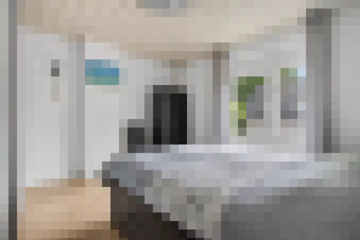 Eijckstraat 4 Weert thumbnail 37