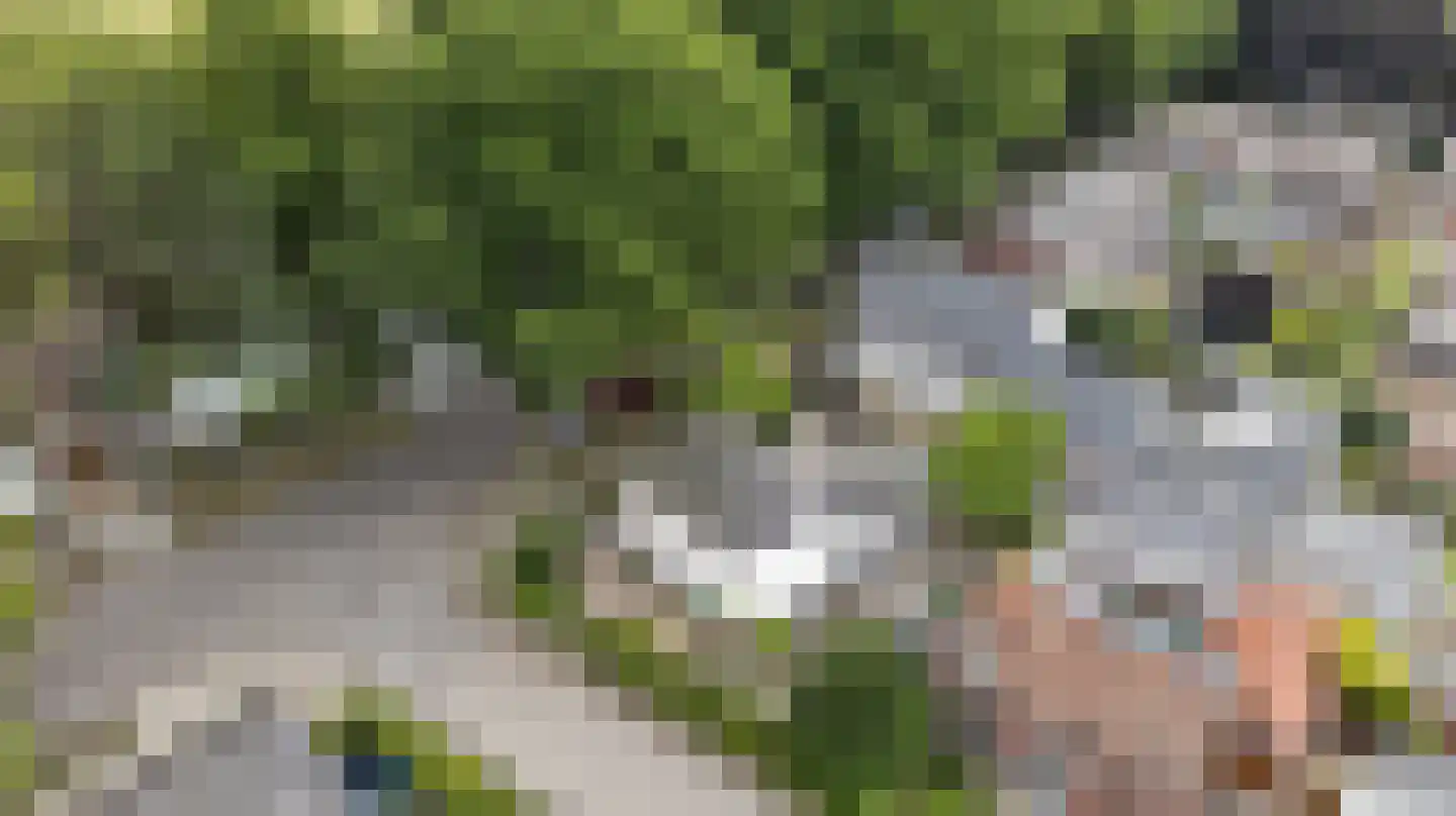 Eijckstraat 4 Weert thumbnail 5