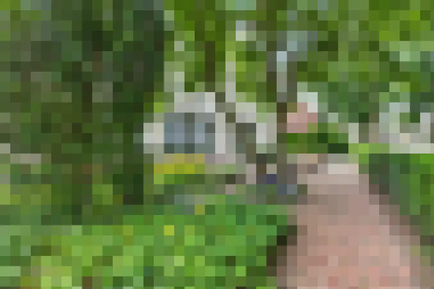 Eijckstraat 4 Weert thumbnail 55