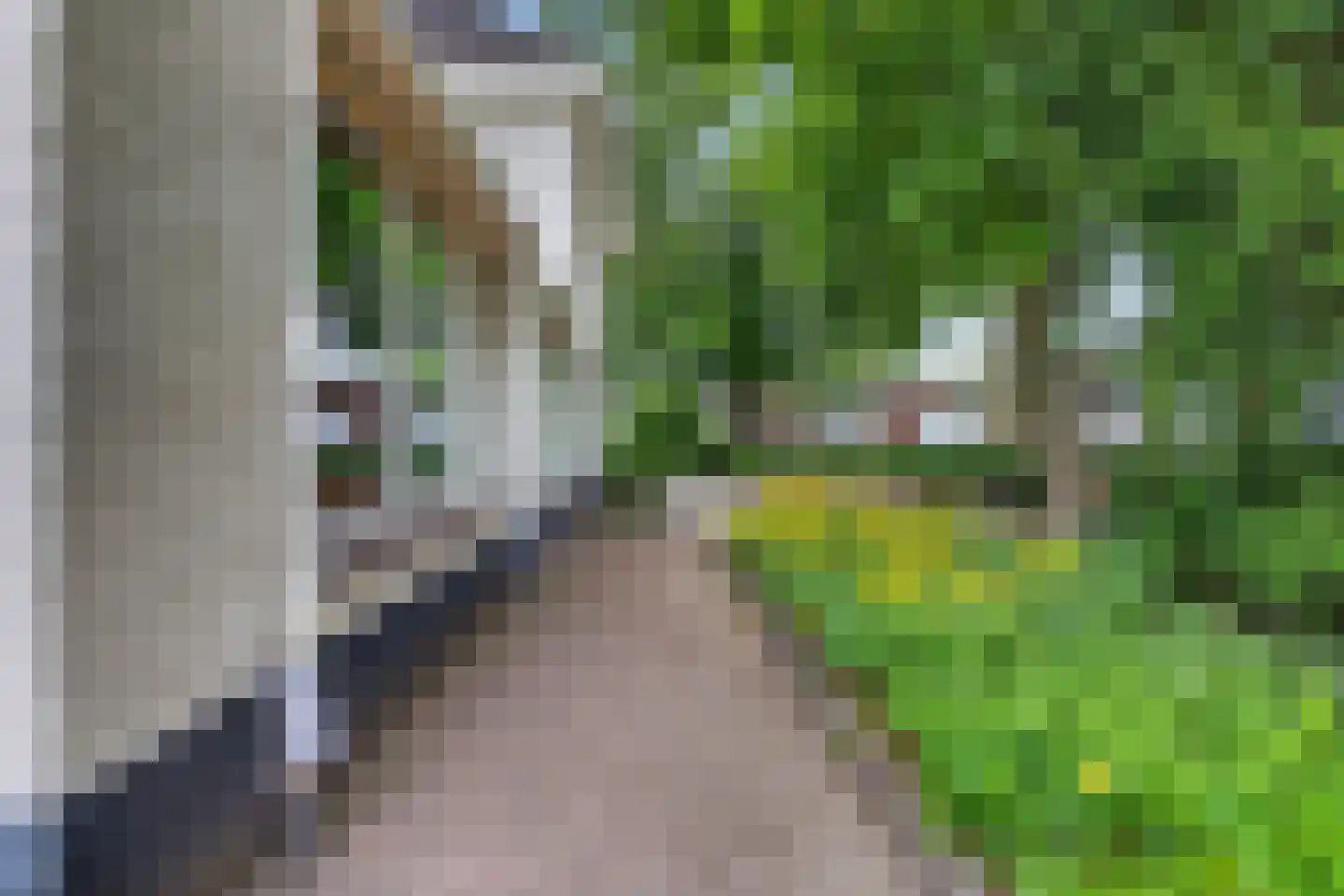 Eijckstraat 4 Weert thumbnail 56