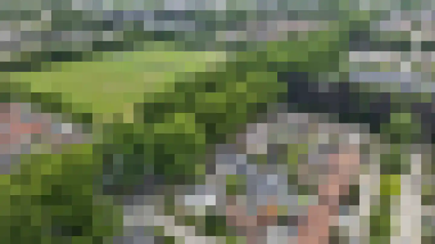 Eijckstraat 4 Weert thumbnail 68