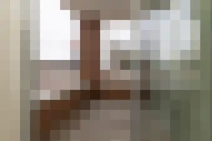 Eijerdijk 1 A Hattem thumbnail 11