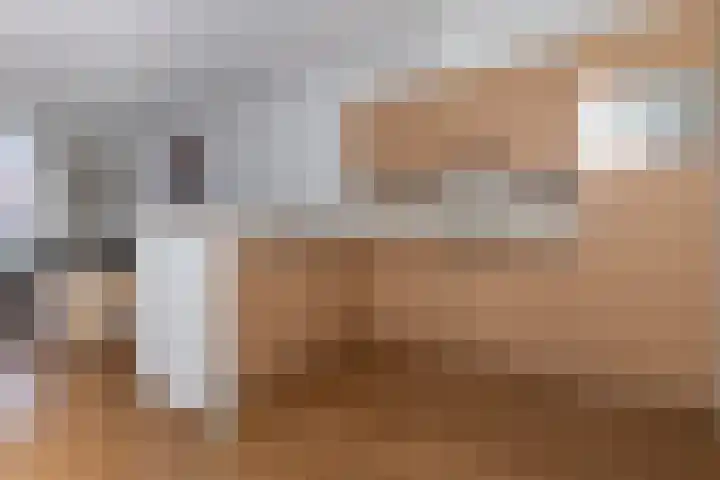 Eijerdijk 1 A Hattem thumbnail 13