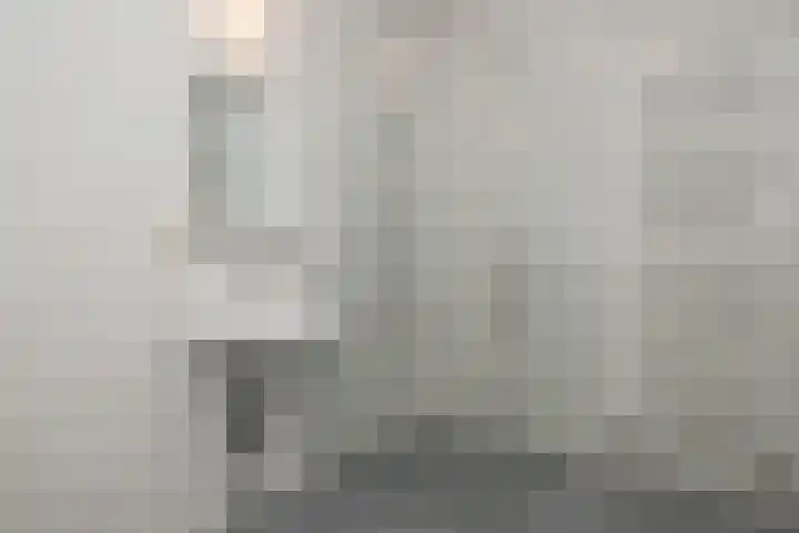 Eijerdijk 1 A Hattem thumbnail 18