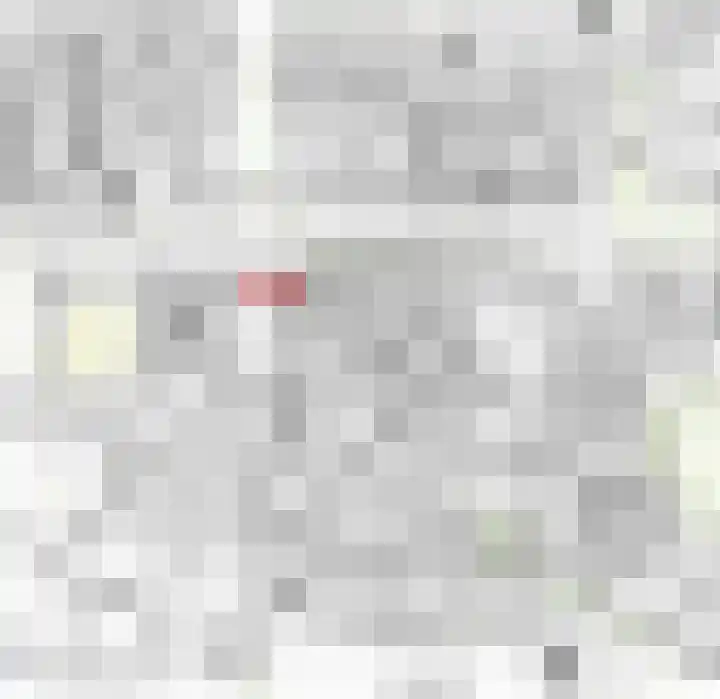 Eijerdijk 1 A Hattem thumbnail 30